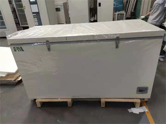 Minus 40 Derajat R290 Refrigerant Stainless Steel Horizontal Biomedical Chest Freezer