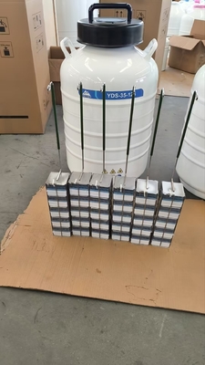 kualitas  Portable Liquid Nitrogen Dry Shipper – Safe Transport of Cells and Tissues pabrik