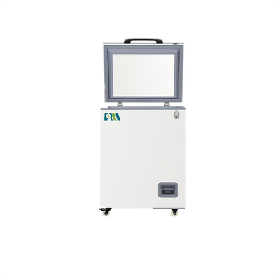 Portable Mini Cryogenic Chest Freezer Dengan Pintu Berbusa Tunggal 100L