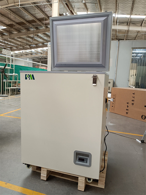 Portable Mini Cryogenic Chest Freezer Dengan Pintu Berbusa Tunggal 100L