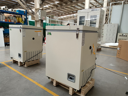 Portable Mini Cryogenic Chest Freezer Dengan Pintu Berbusa Tunggal 100L