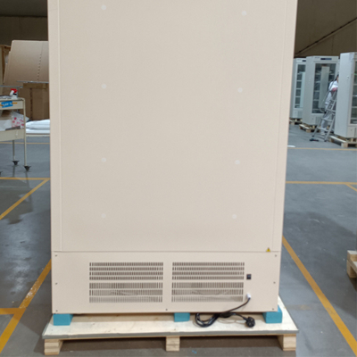 328 liter Kapasitas minus 40 derajat Free Standing Biomedical Deep Freezer Untuk penyimpanan vaksin
