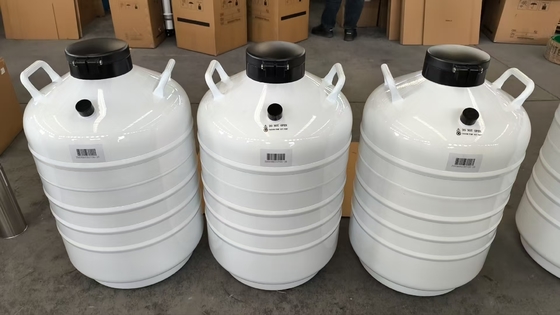 Pengirim Kering Sampel Biologis – Wadah Nitrogen Cair Bebas Bocor