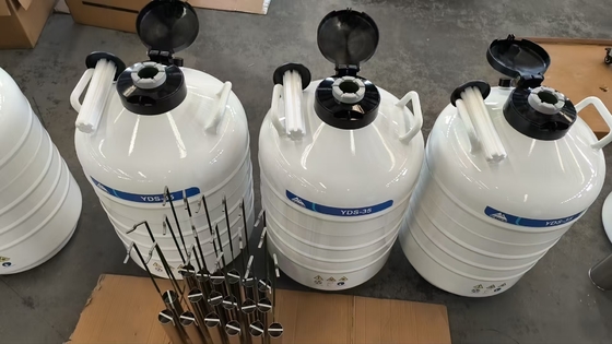 Pengirim Kering Sampel Biologis – Wadah Nitrogen Cair Bebas Bocor