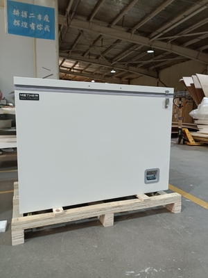 -40℃ Freezer Dada Biomedis | Freezer Dalam Medis 305L untuk Penggunaan Laboratorium dan Rumah Sakit