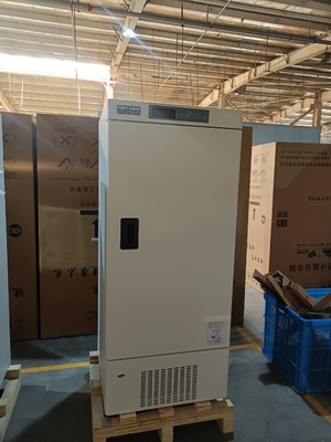 MDF-40V268E -40°C Medical Deep Freezer. 268L Vertikal Ultra-Low Temperature Freezer untuk penyimpanan Biomedis.