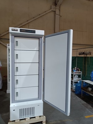-40℃ Freezer Dalam Biomedis | Freezer Medis Vertikal dengan Kapasitas 328L & 5 Pintu Dalam