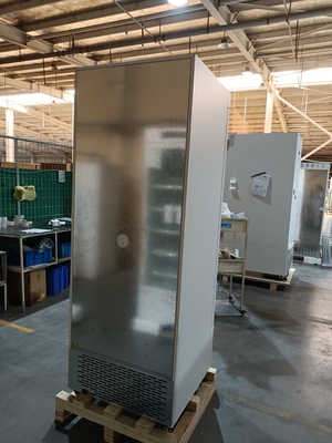 -40℃ Freezer Dalam Biomedis | Freezer Medis Vertikal dengan Kapasitas 328L & 5 Pintu Dalam